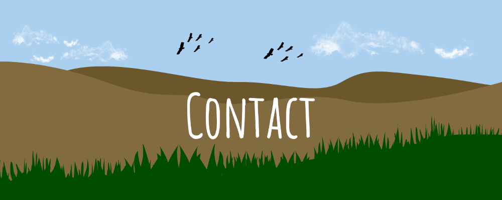 Mountain background in cartoon style with contact in the centre and birds in the sky